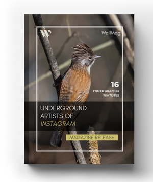 Volume 2: Underground Artist of Instagram post feature image